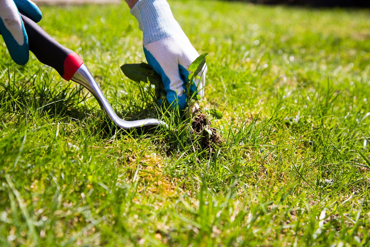 A person with gloves on cutting grass