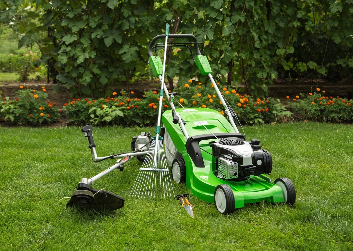 A green lawn mower and brush in the grass.